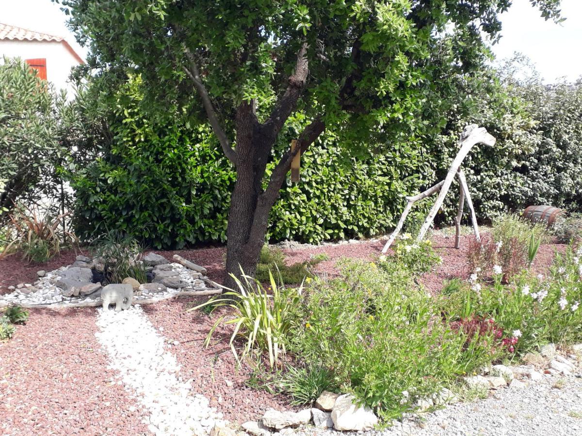 Roquefort-des-CorbièresDomaine De La Clotte住宿加早餐旅馆 外观 照片