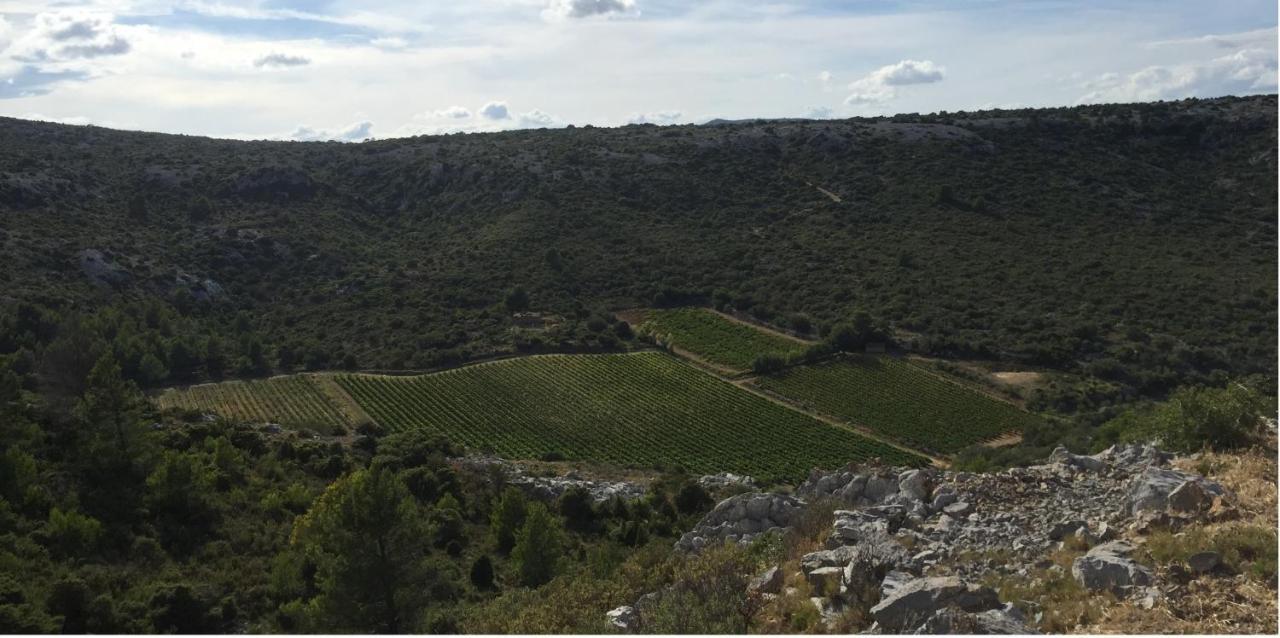 Roquefort-des-CorbièresDomaine De La Clotte住宿加早餐旅馆 外观 照片
